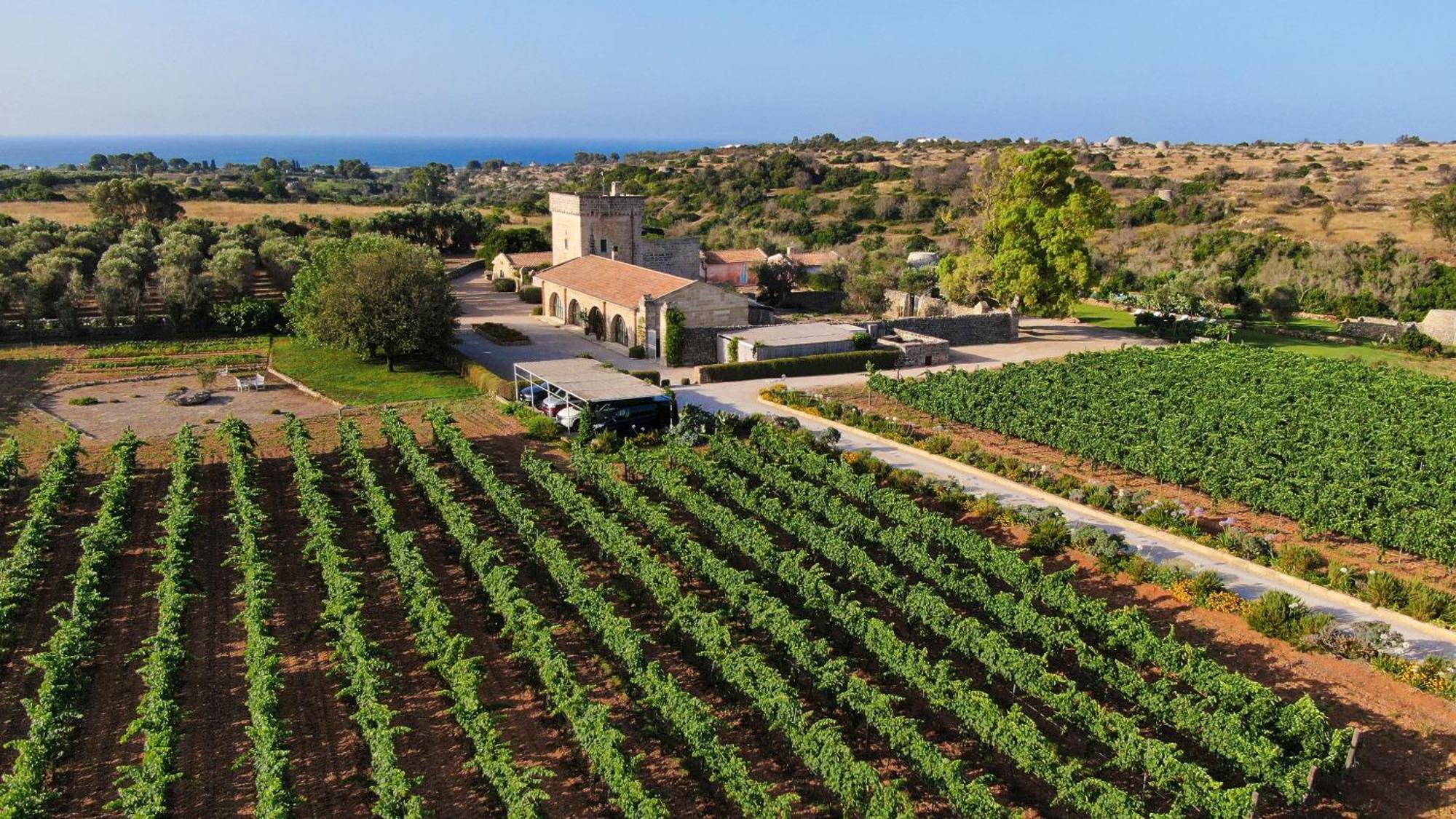 Masseria Fano Relais & Wine Сальве Экстерьер фото